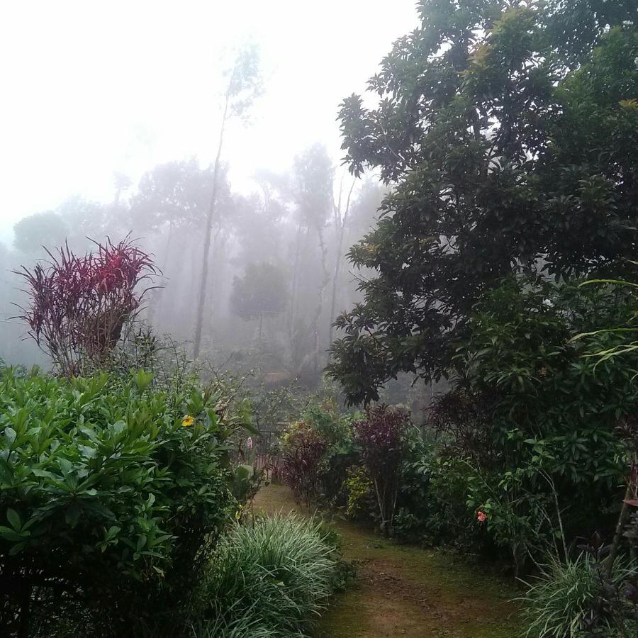 Hill Side Estate Leilighet Madikeri Eksteriør bilde